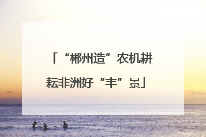 “郴州造”农机耕耘非洲好“丰”景