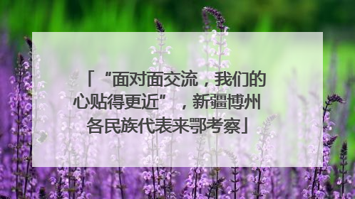 “面对面交流，我们的心贴得更近”，新疆博州各民族代表来鄂考察