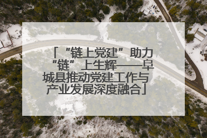 “链上党建”助力“链”上生辉——阜城县推动党建工作与产业发展深度融合