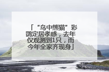 “鸟中熊猫”彩鹮定居孝感，去年仅观测到1只，而今年全家齐现身