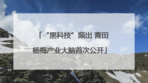 “黑科技”频出 青田杨梅产业大脑首次公开