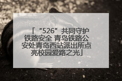 “526”共同守护铁路安全 青岛铁路公安处青岛西站派出所点亮校园爱路之光