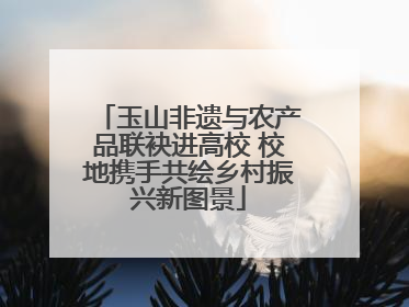 玉山非遗与农产品联袂进高校 校地携手共绘乡村振兴新图景