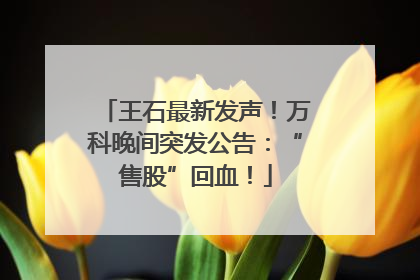 王石最新发声！万科晚间突发公告：“售股”回血！