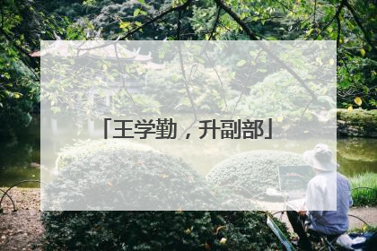 王学勤，升副部