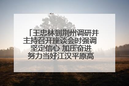 王忠林到荆州调研并主持召开座谈会时强调 坚定信心 加压奋进 努力当好江汉平原高质量发展排头兵