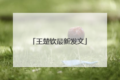 王楚钦最新发文
