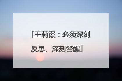 王莉霞：必须深刻反思、深刻警醒