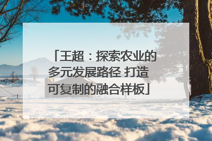 王超：探索农业的多元发展路径 打造可复制的融合样板