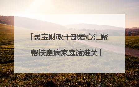灵宝财政干部爱心汇聚 帮扶患病家庭渡难关