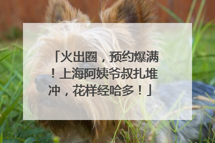 火出圈，预约爆满！上海阿姨爷叔扎堆冲，花样经哈多！