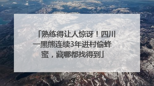熟练得让人惊讶！四川一黑熊连续3年进村偷蜂蜜，藏哪都找得到