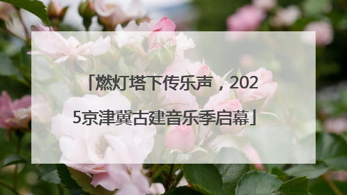 燃灯塔下传乐声，2025京津冀古建音乐季启幕