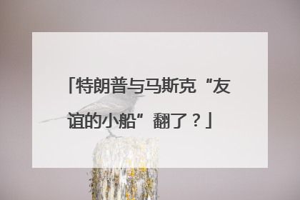 特朗普与马斯克“友谊的小船”翻了？