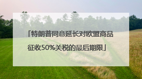 特朗普同意延长对欧盟商品征收50%关税的最后期限