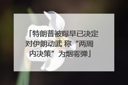 特朗普被曝早已决定对伊朗动武 称“两周内决策”为烟雾弹