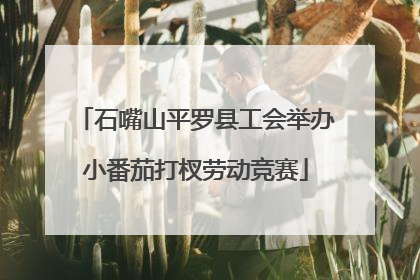 石嘴山平罗县工会举办小番茄打杈劳动竞赛