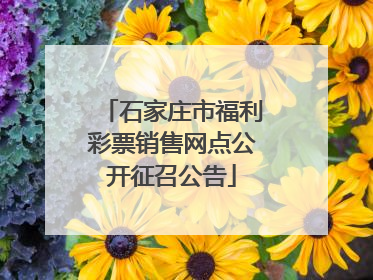 石家庄市福利彩票销售网点公开征召公告