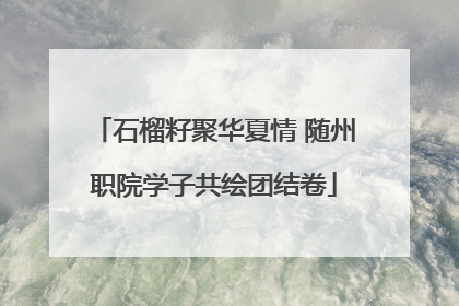 石榴籽聚华夏情 随州职院学子共绘团结卷
