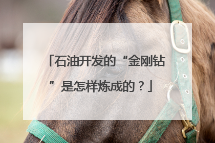 石油开发的“金刚钻”是怎样炼成的？