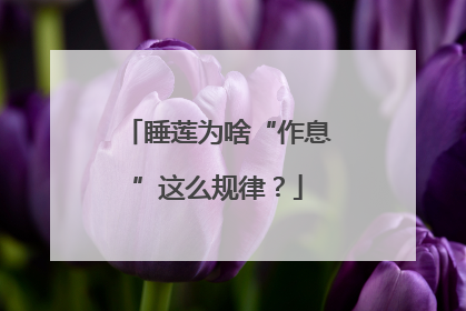 睡莲为啥“作息”这么规律？