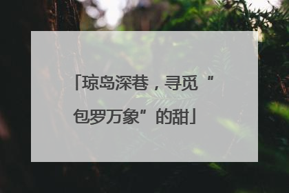 琼岛深巷，寻觅“包罗万象”的甜