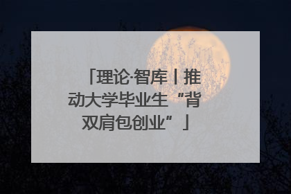 理论·智库丨推动大学毕业生“背双肩包创业”