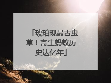 琥珀现最古虫草！寄生蚂蚁历史达亿年