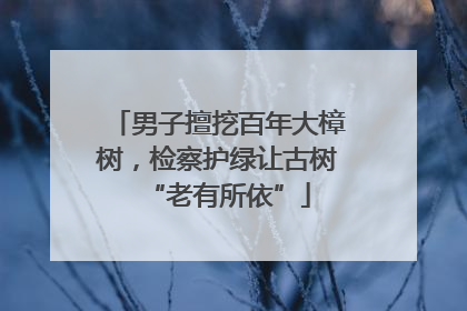 男子擅挖百年大樟树，检察护绿让古树“老有所依”