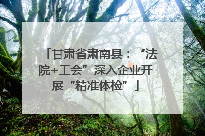 甘肃省肃南县：“法院+工会”深入企业开展“精准体检”