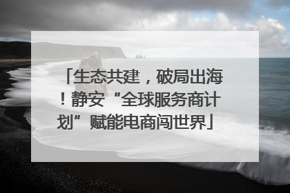 生态共建，破局出海！静安“全球服务商计划”赋能电商闯世界
