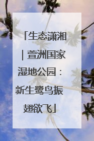 生态潇湘｜萱洲国家湿地公园：新生鹭鸟振翅欲飞