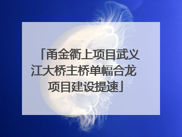 甬金衢上项目武义江大桥主桥单幅合龙 项目建设提速