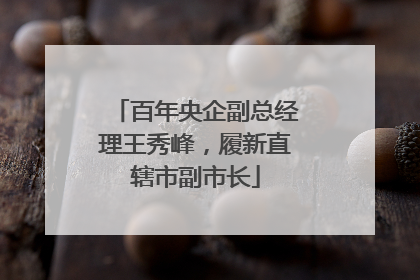百年央企副总经理王秀峰，履新直辖市副市长