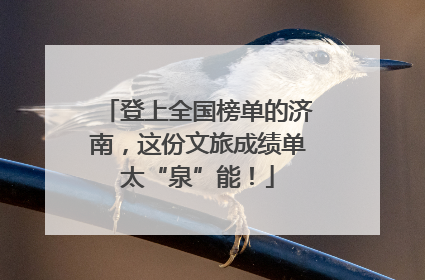 登上全国榜单的济南，这份文旅成绩单太“泉”能！