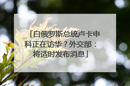 白俄罗斯总统卢卡申科正在访华？外交部：将适时发布消息