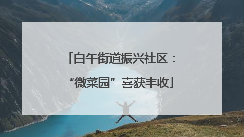 白午街道振兴社区：“微菜园”喜获丰收