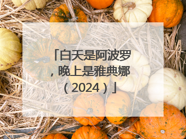 白天是阿波罗，晚上是雅典娜（2024）