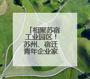 相聚苏宿工业园区！苏州、宿迁青年企业家共谋发展