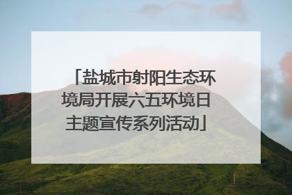 盐城市射阳生态环境局开展六五环境日主题宣传系列活动