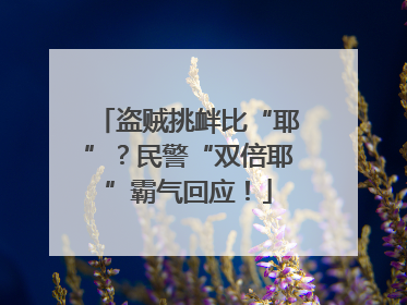 盗贼挑衅比“耶”？民警“双倍耶”霸气回应！