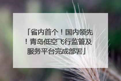 省内首个！国内领先！青岛低空飞行监管及服务平台完成部署