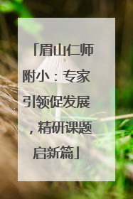 眉山仁师附小：专家引领促发展，精研课题启新篇
