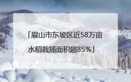 眉山市东坡区近58万亩水稻栽插面积超85%