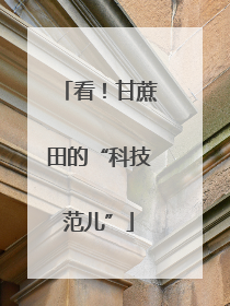 看！甘蔗田的“科技范儿”