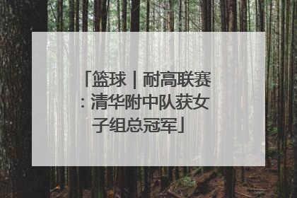 篮球｜耐高联赛：清华附中队获女子组总冠军
