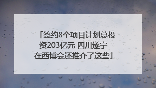签约8个项目计划总投资203亿元 四川遂宁在西博会还推介了这些