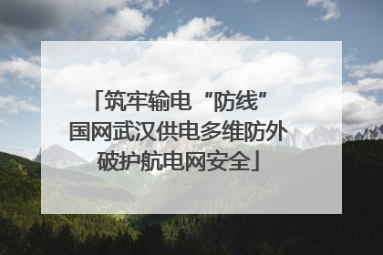 筑牢输电“防线” 国网武汉供电多维防外破护航电网安全