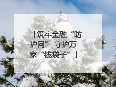 筑牢金融“防护网” 守护万家“钱袋子”