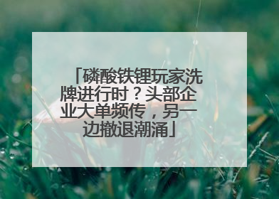 磷酸铁锂玩家洗牌进行时？头部企业大单频传，另一边撤退潮涌
